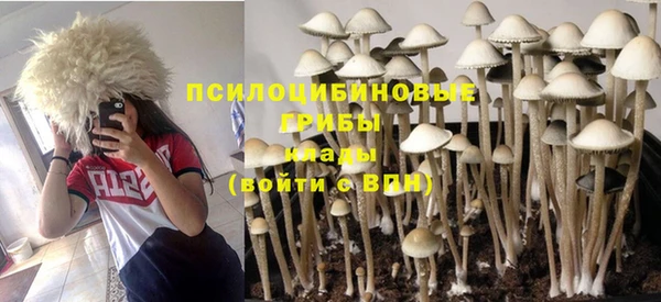 амф Дмитров