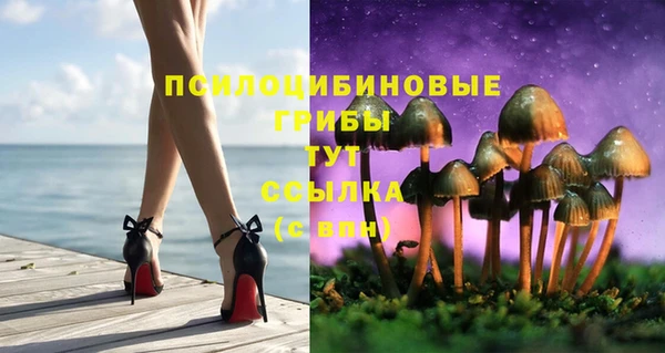 мдпв Балабаново